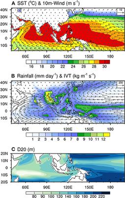 Drivers and characteristics of the Indo-western Pacific Ocean capacitor